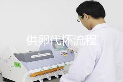 供卵代怀流程
